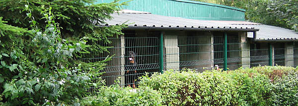 bakerleigh kennel bakerleigh kennel